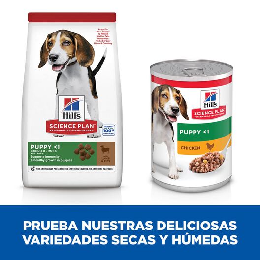 Hill's Science Plan Puppy Medium Cordero y arroz Pienso para perros, , large image number null